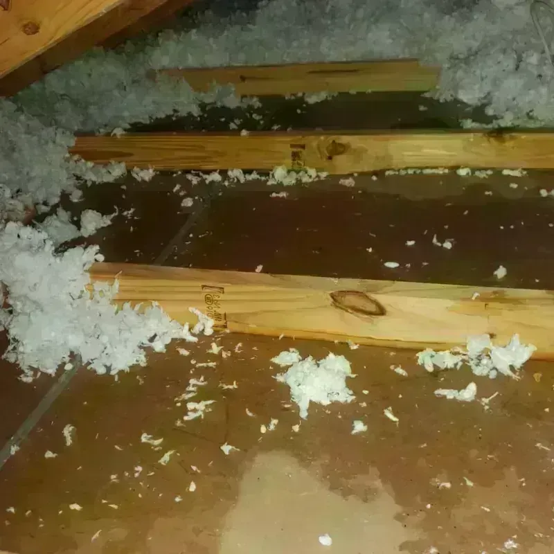 Attic Water Damage in Sixteen Mile Stand, OH